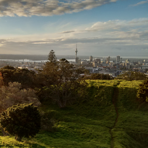 AKL Council Ruru | Geographic Business Solutions